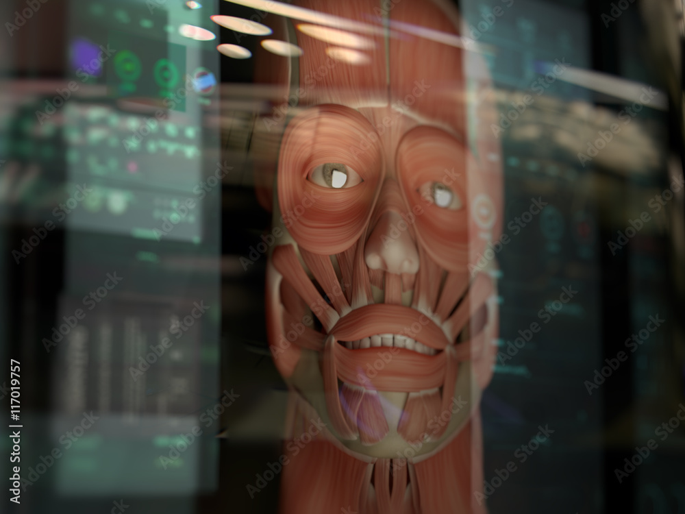 Augmented reality. Human anatomy. 3D illustration. Stock Illustration