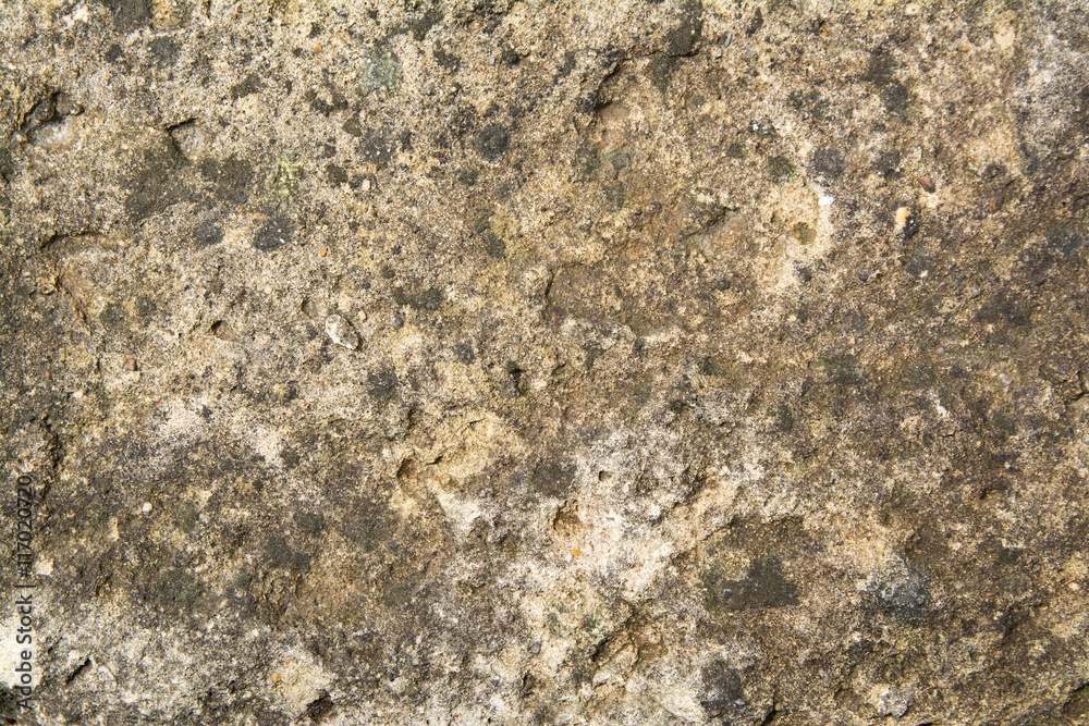 gray background texture concrete wall gray background texture concrete wall