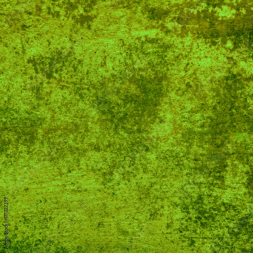 green concrete wall abstract background © fotohunt