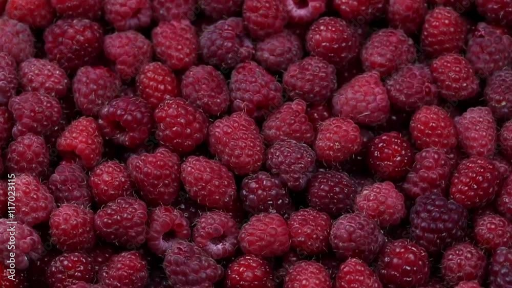 Ripe raspberry background. Closeup berries. 1280x720. Slow Motion
Ripe raspberry background. Closeup berries. 1280x720. Slow Motion