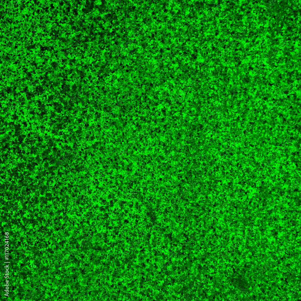 abstract green background texture cement wall abstract green background texture cement wall