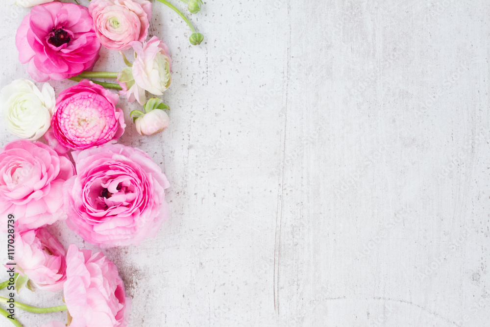 Obraz premium Różowe i białe kwiaty Jaskier