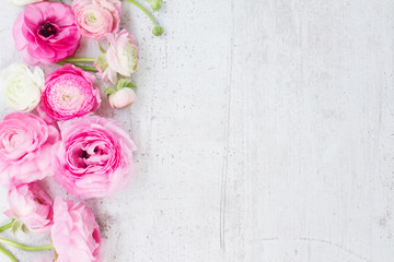 Papier peint photo Pivoines Renoncules roses et blanches romantiques  © neirfy