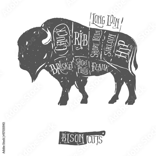 Vintage butcher cuts of bison buffalo scheme diagram