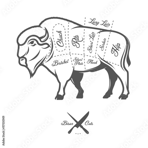 Vintage butcher cuts of bison buffalo scheme diagram