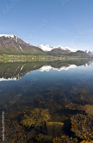 Norway. Norwegian fjord / There are mountains plunging into the sea from hundreds of meters, fjords, tall mountain peaks, northern lights and midnight sun.