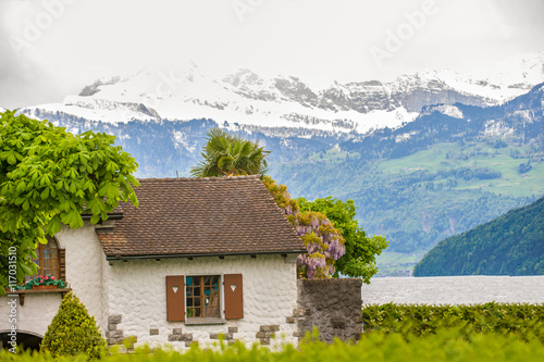 Cottage in Swiss countryside and springtime nature