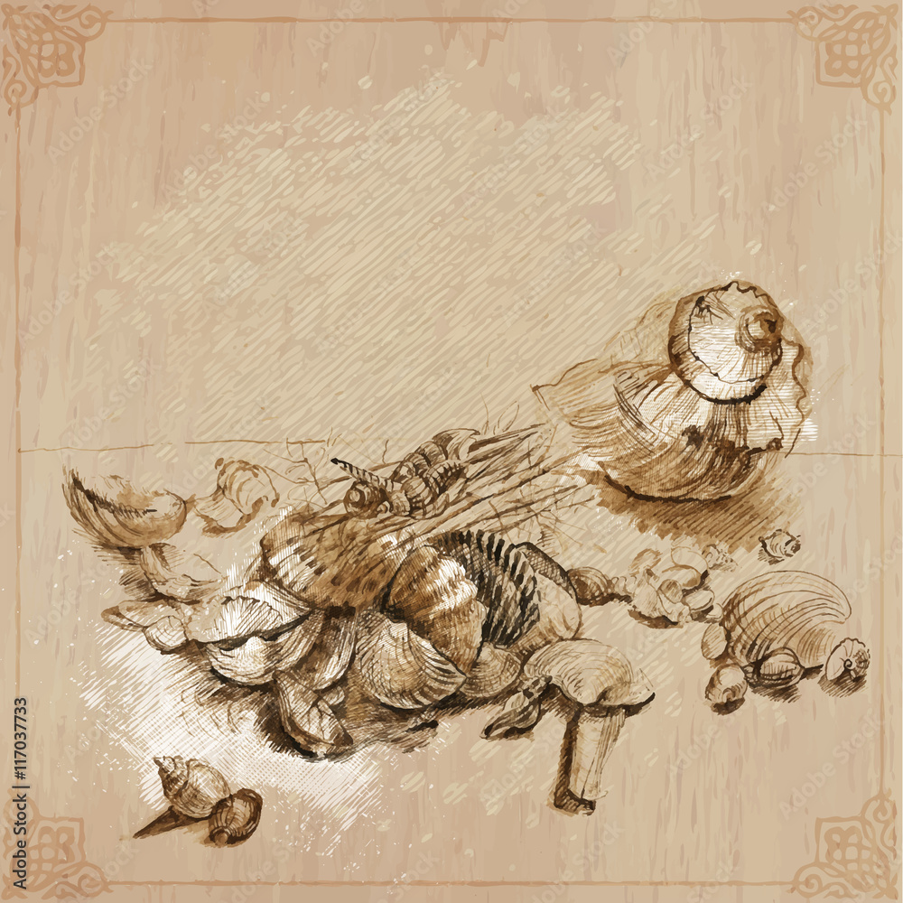 Shells Into Ink An hand drawn illustrations. Animals. Shells. Mussels. Still life ...