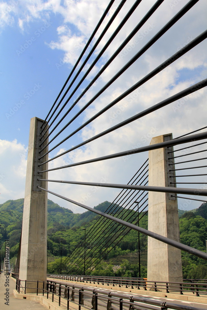 Obraz premium 八ッ場の不動大橋