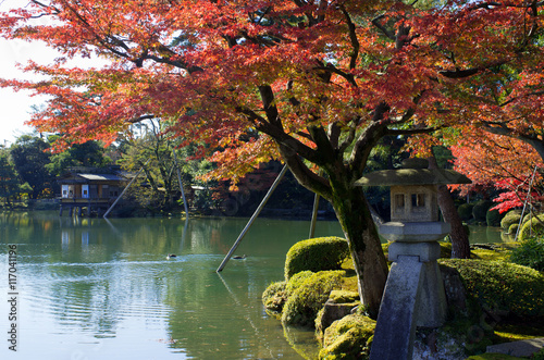 Autumn foliage at Kenrokuen Garden in Kanazawa, Japan
