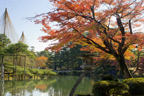 Autumn foliage at Kenrokuen Garden in Kanazawa, Japan

