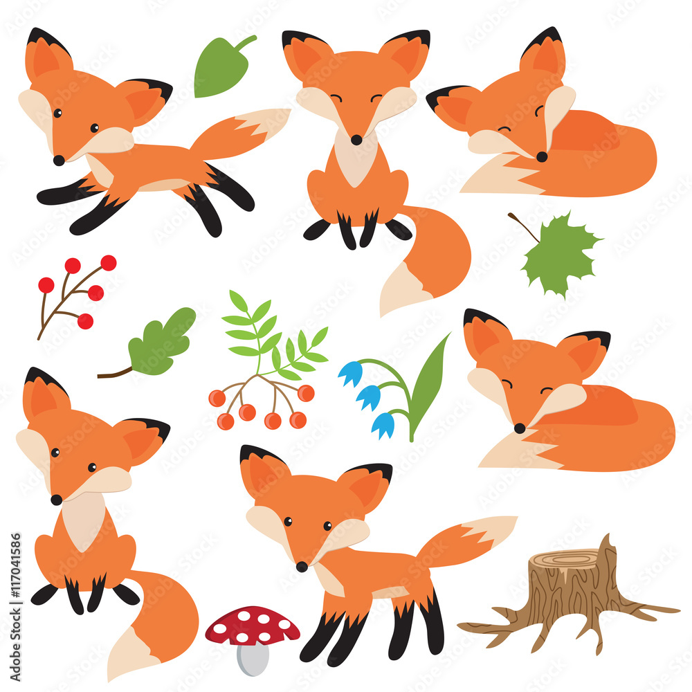 Cute fox vector illustration Cute fox vector illustration