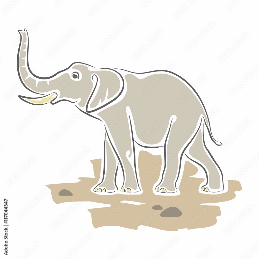 Fototapeta premium Elephant Vector Illustration