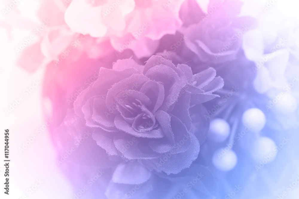 rose in soft style rose in soft style