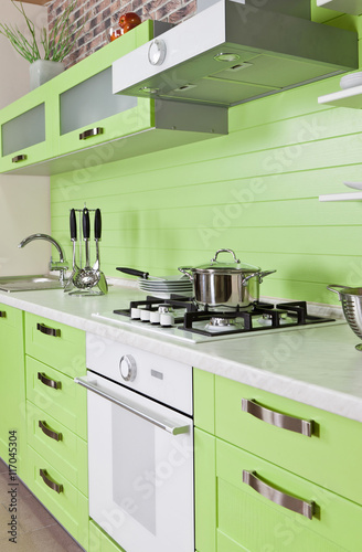 Luxurious new green kitchen with modern appliances