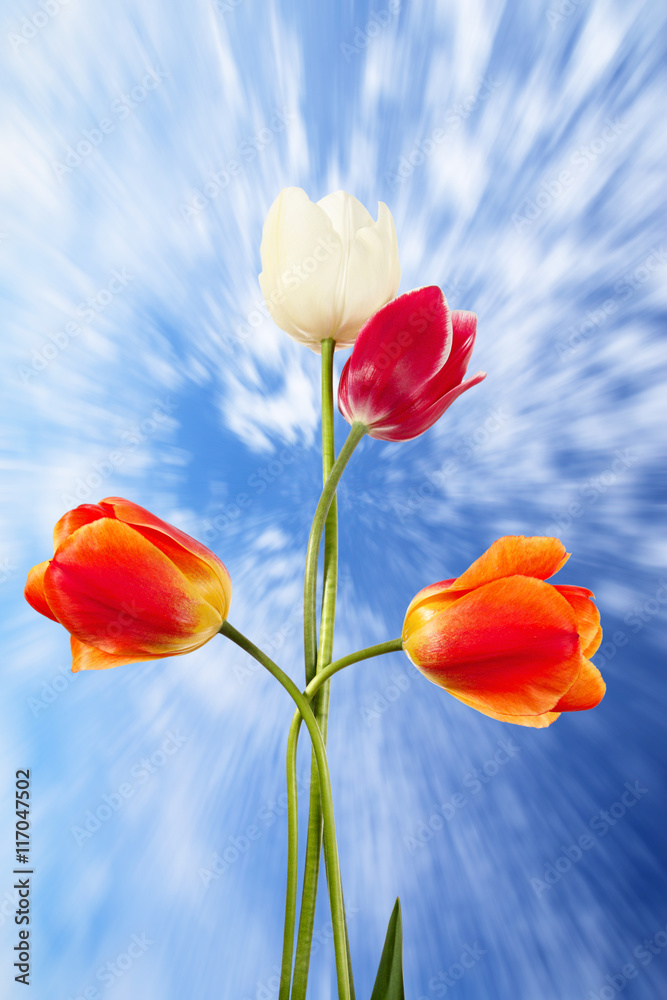 Obraz premium Easter