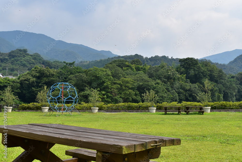 Fototapeta premium 公園
