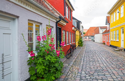 Fényképezés Denmark