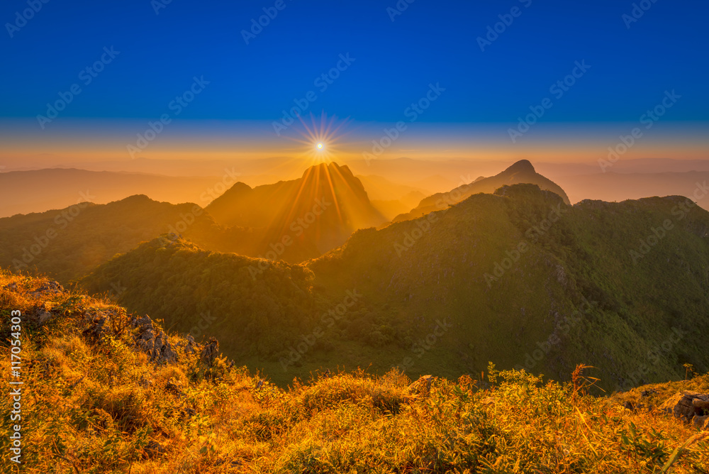 Beautiful Golden Mountain