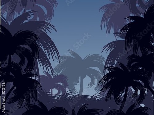 Landscape with palm trees.