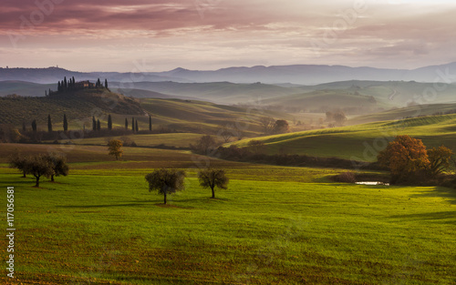 sunny morning in Tuscany  Val d Orcia  Italy