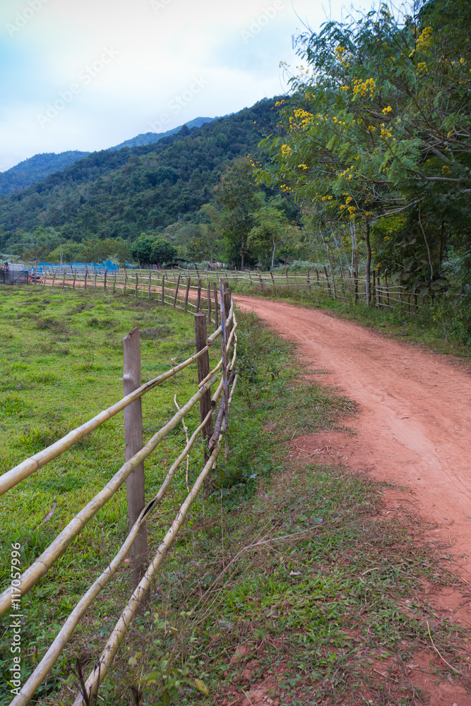 Red dirt rough pathway road along bamboo fence lead to farm with mountain view, green environment and sky