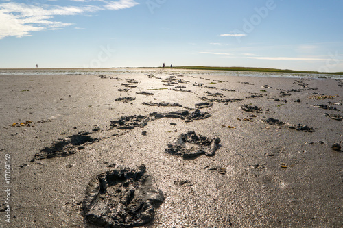 Fußspuren im Watenmeer