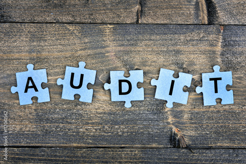 Puzzle with word Audit