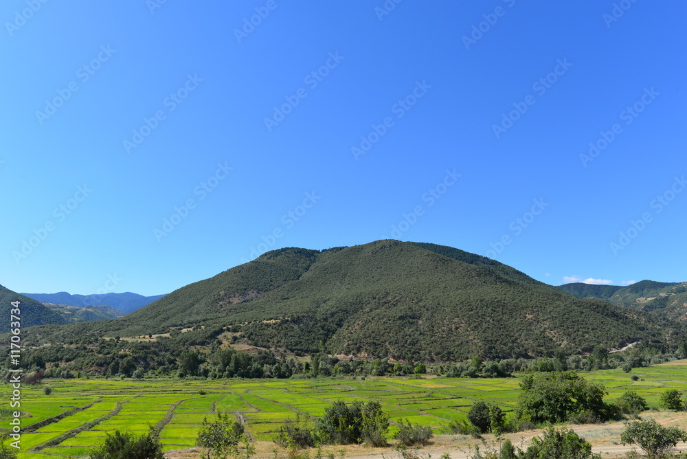 Reisfelder in Kastamonu und Corum