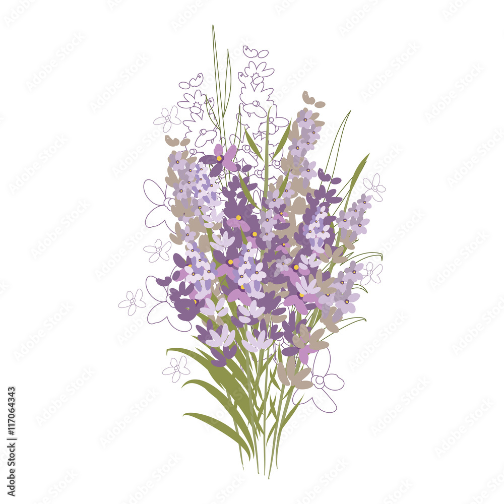 Obraz premium Vector floral pattern with lavender flowers