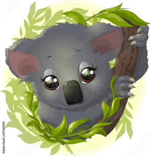 pretty funny koala