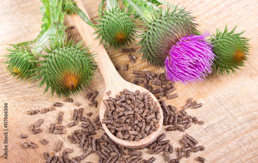 Granular and fresh thistle with flowers. (Silybum marianum) Granular and fresh thistle with flowers. (Silybum marianum)