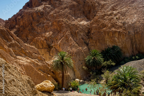 Tunisia. Oasis  Chebika
