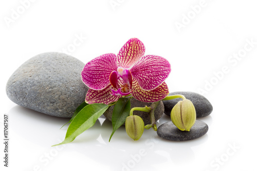 Spa stones