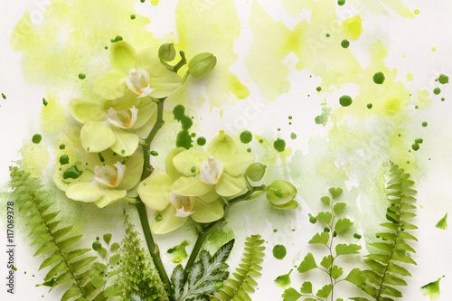 Orchid in green paint © Lily