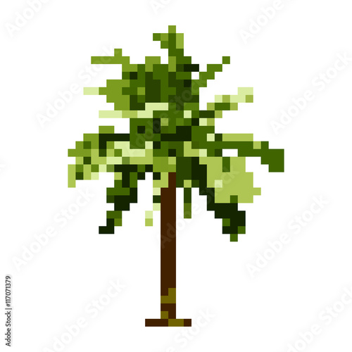 coconut tree pixel art vector. isolated plant