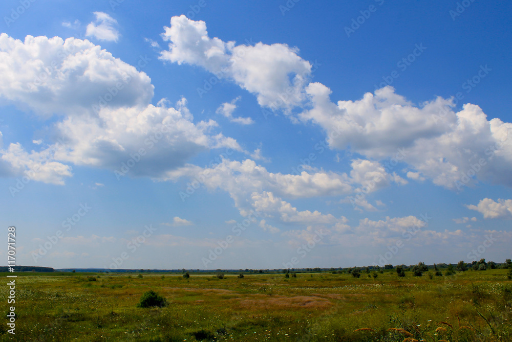 Wide meadow and blue sky. Summer landscape