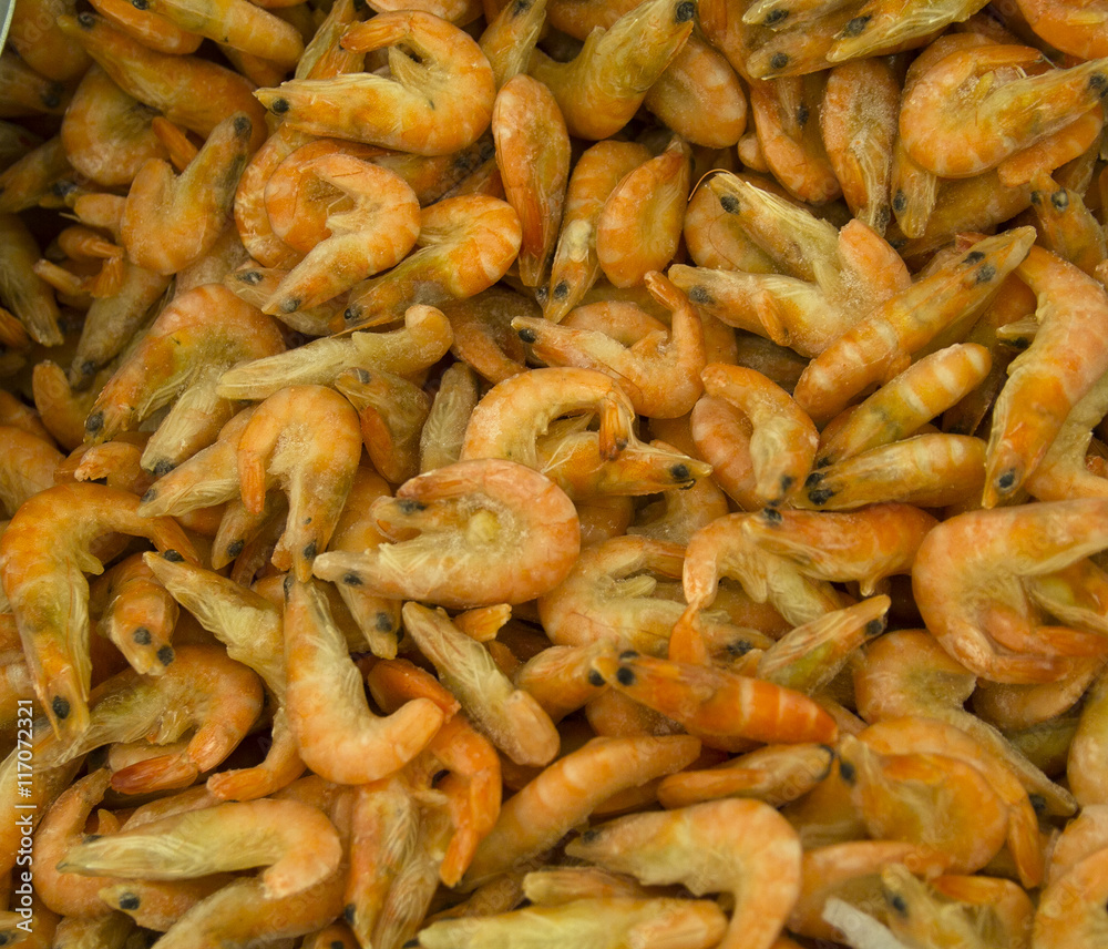 lot of shrimp