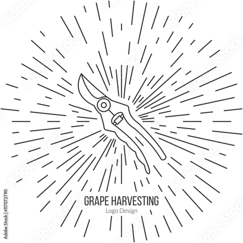 Grape picking trimming snips with star burst. Single logo in modern thin line style isolated on white background. Outline winery symbol. Simple mono linear pictogram. Stroke vector logotype template.