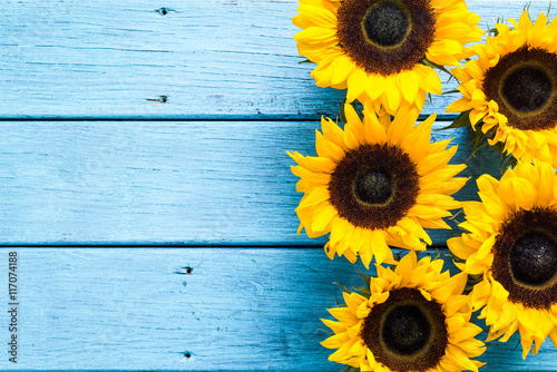 Fototapeta Naklejka Na Ścianę i Meble -  sunflowers heads on wooden background