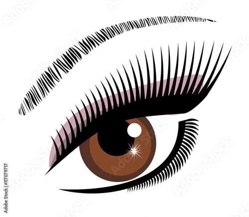 eye brown vector