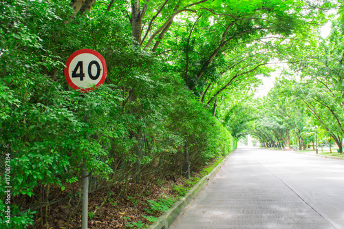 40 kilometers limit sign in the tree tunnel