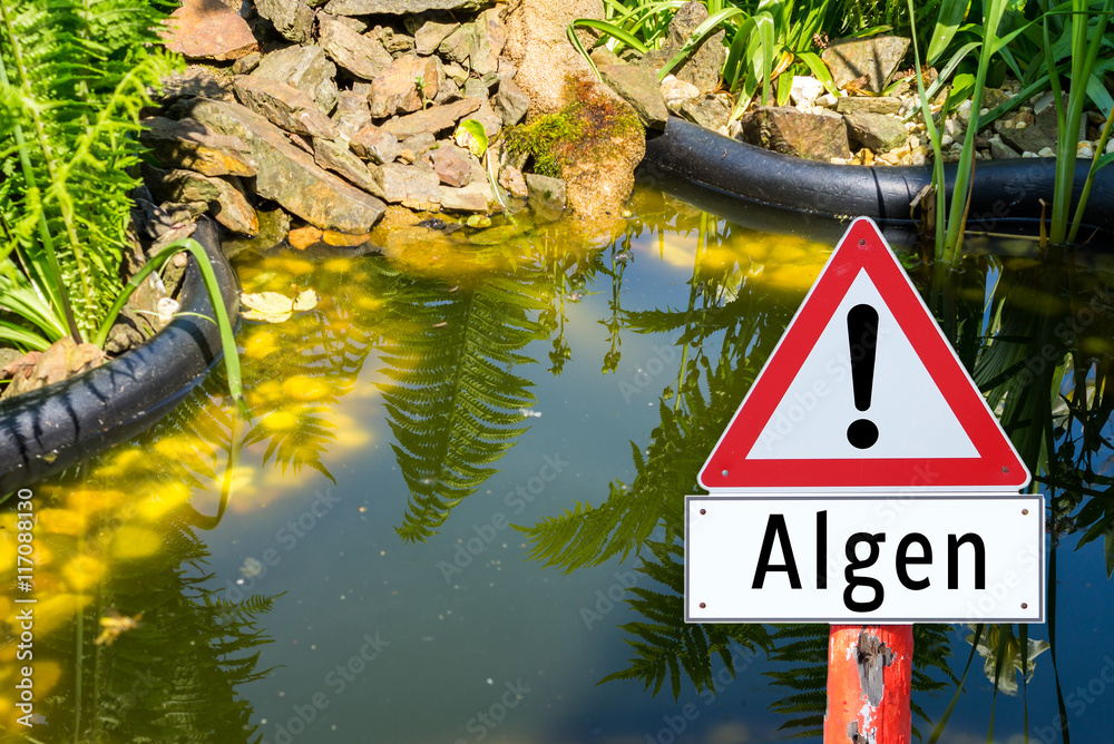 Achtung Algen Schild Gartenteich Stock Photo Adobe Stock