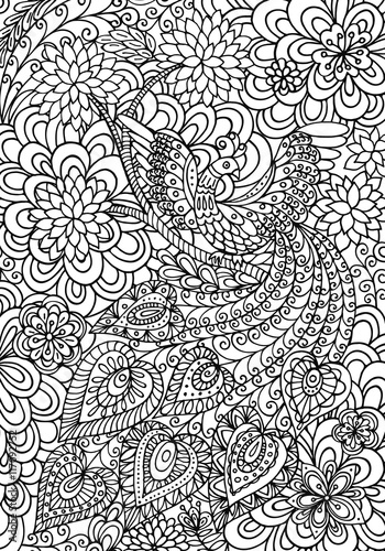 Peacock and floral garden coloring page. Creative vector illustration.
