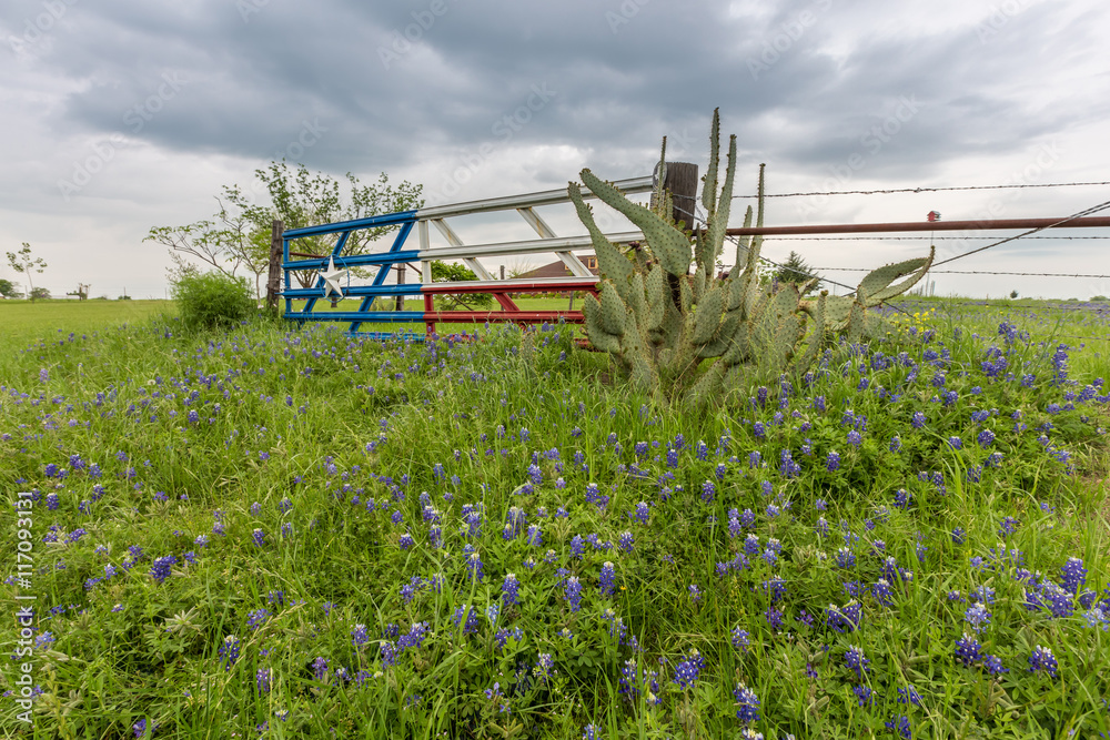 Bluebonnet field and Texas flag gate in countryside of Ennis, TX Bluebonnet field and Texas flag gate in countryside of Ennis, TX