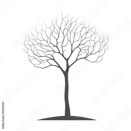 silhouette tree with twisted branches on a white background, vector tree illustration