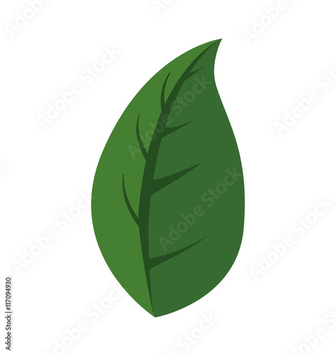 Nature and ecosystem concept represented by green leaf icon. Isolated and flat illustration