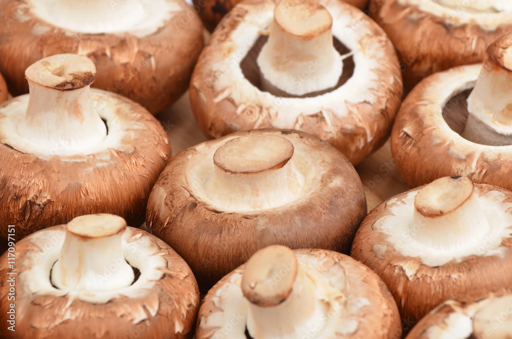 Champignon (True mushroom) Champignon (True mushroom)