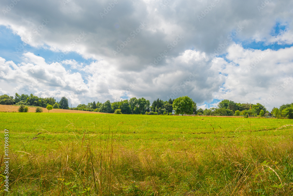 Obraz premium Hills of the Eifel National Park in summer