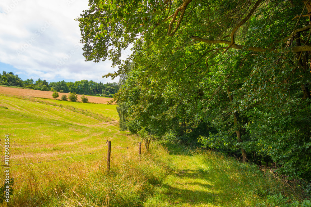 Hills of the Eifel National Park in summer Hills of the Eifel National Park in summer